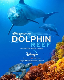 Watch Free Dolphin Reef Movies Full HD Online