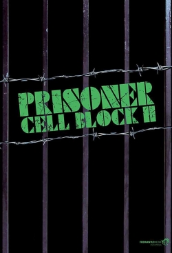 Watch Free Prisoner Movies Full HD Online