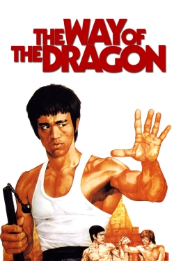 Watch Free The Way of the Dragon Movies Full HD Online