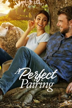 Watch Free A Perfect Pairing Movies Full HD Online