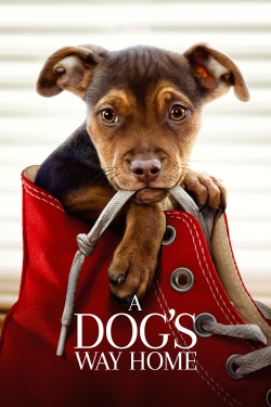 Watch Free A Dog's Way Home Movies Full HD Online